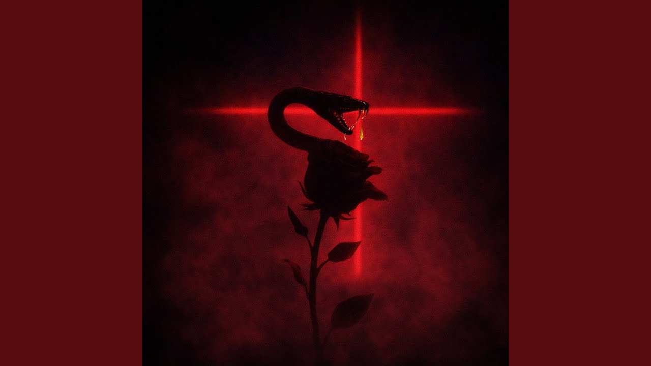 My Fallen Star