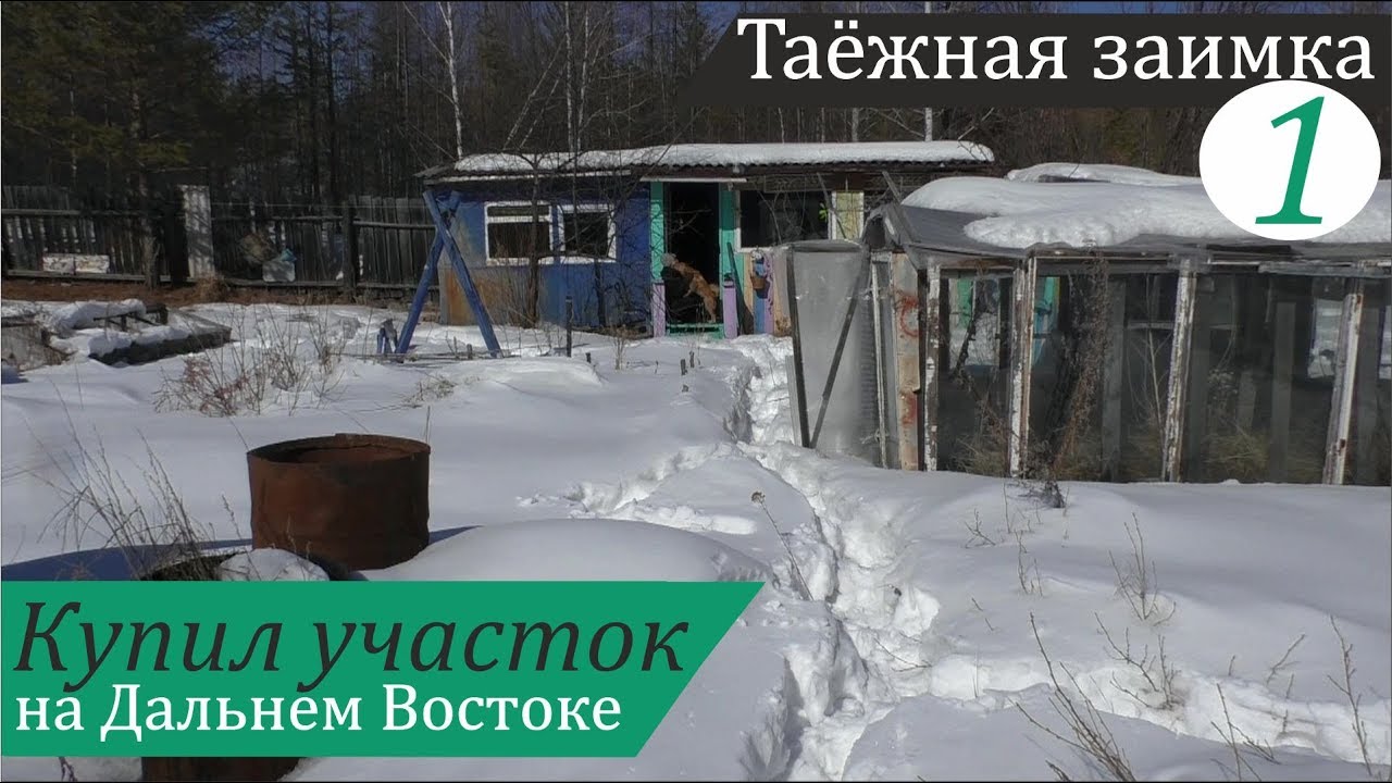 Купил участок с домиком. Возвращаюсь на Дальний Восток! Таёжная заимка, часть 1
