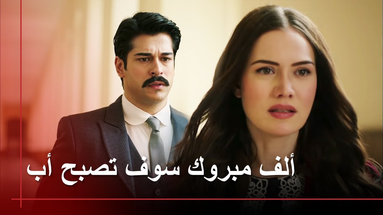 اصرخي اضربي لكن قولي شيئًا | طائر النمنمة