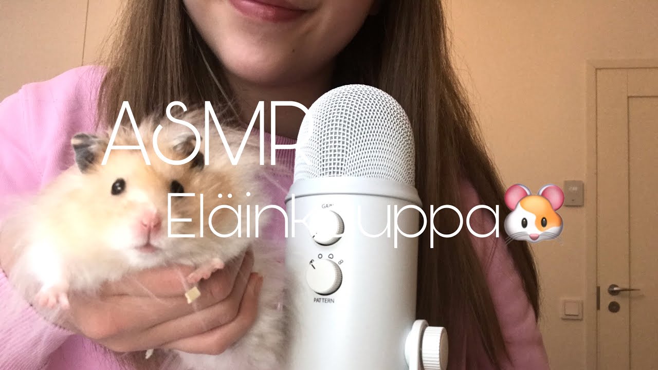 ASMR SUOMI eläinkauppa roleplay 🐹✨