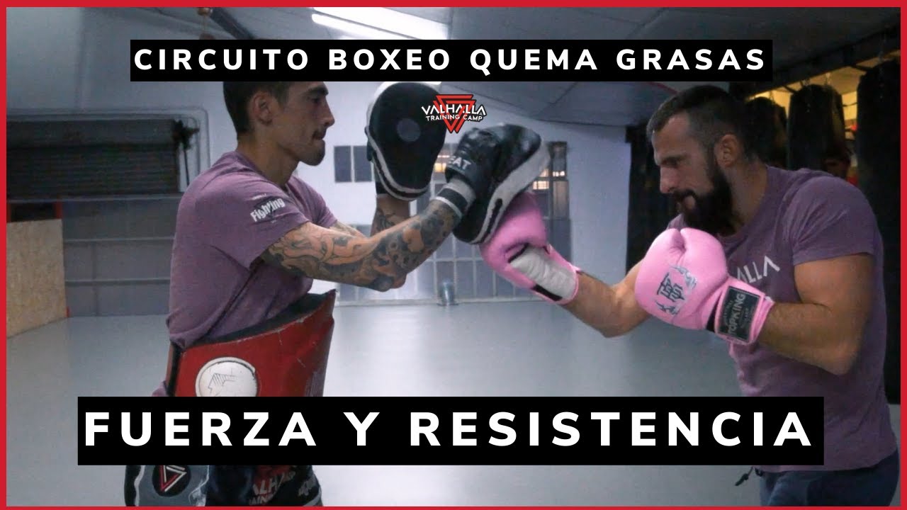 Circuito Fisico de Boxeo  🥊  Quema grasas 🔥  Manopleo en pareja 💫
