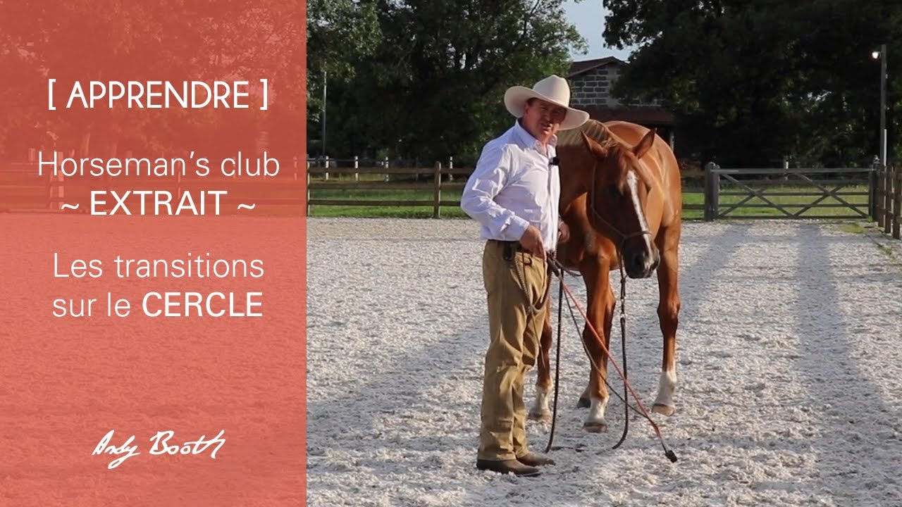 [ APPRENDRE ] Les transitions sur le cercle