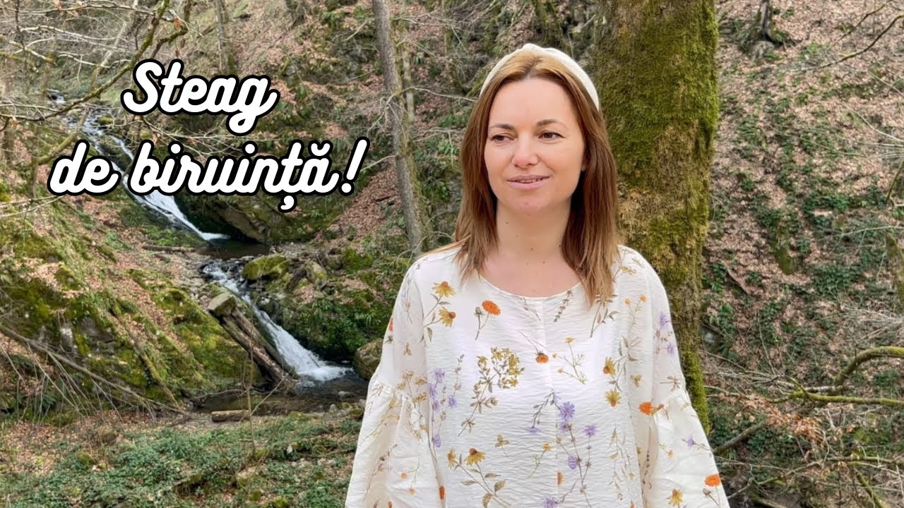 Steag de biruință | Mihaela Smalbergher | Official Music Video 2024