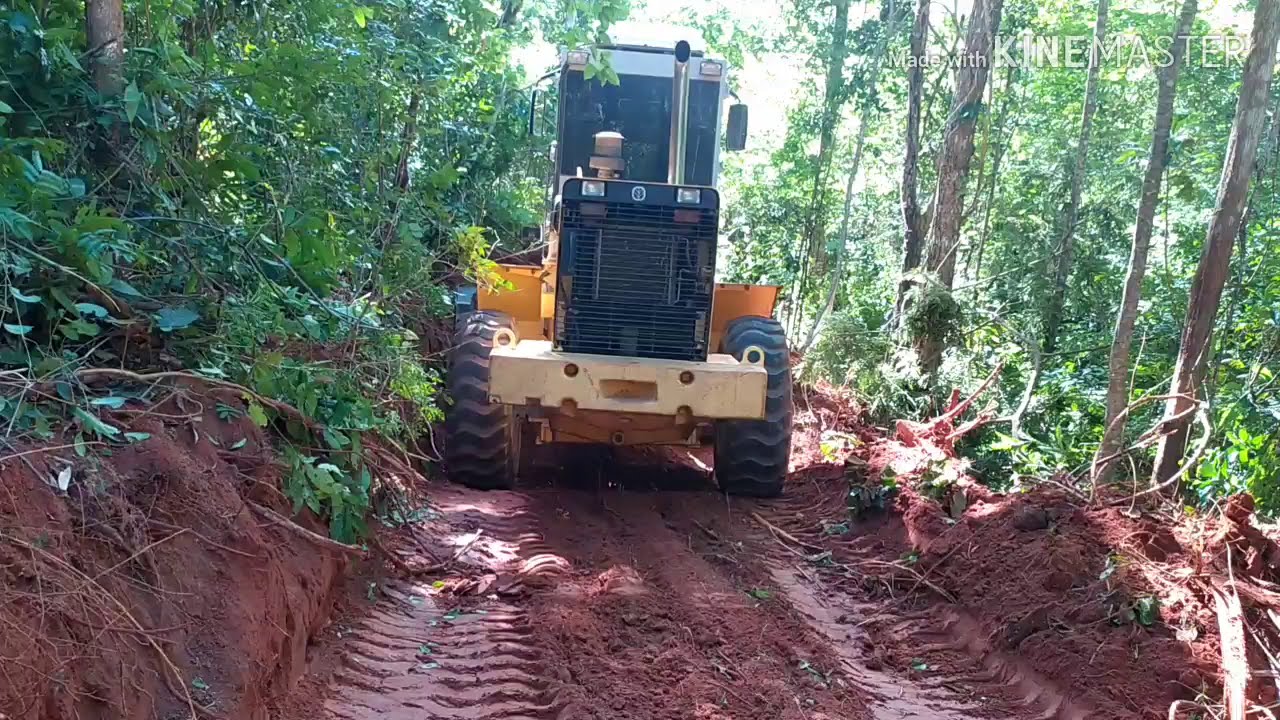 Abrindo estrada na mata pa carregadeira 12C 😎🚜