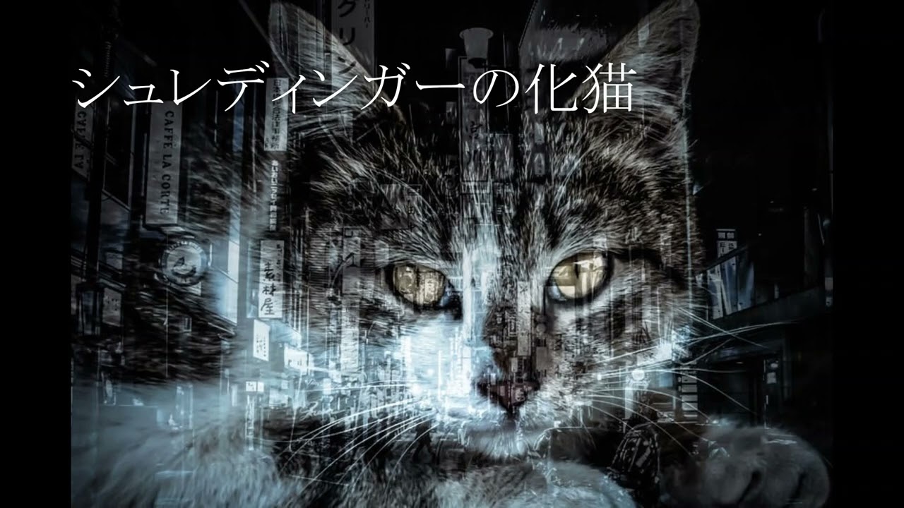 【東方アレンジ】シュレディンガーの化猫【宇佐見化々】