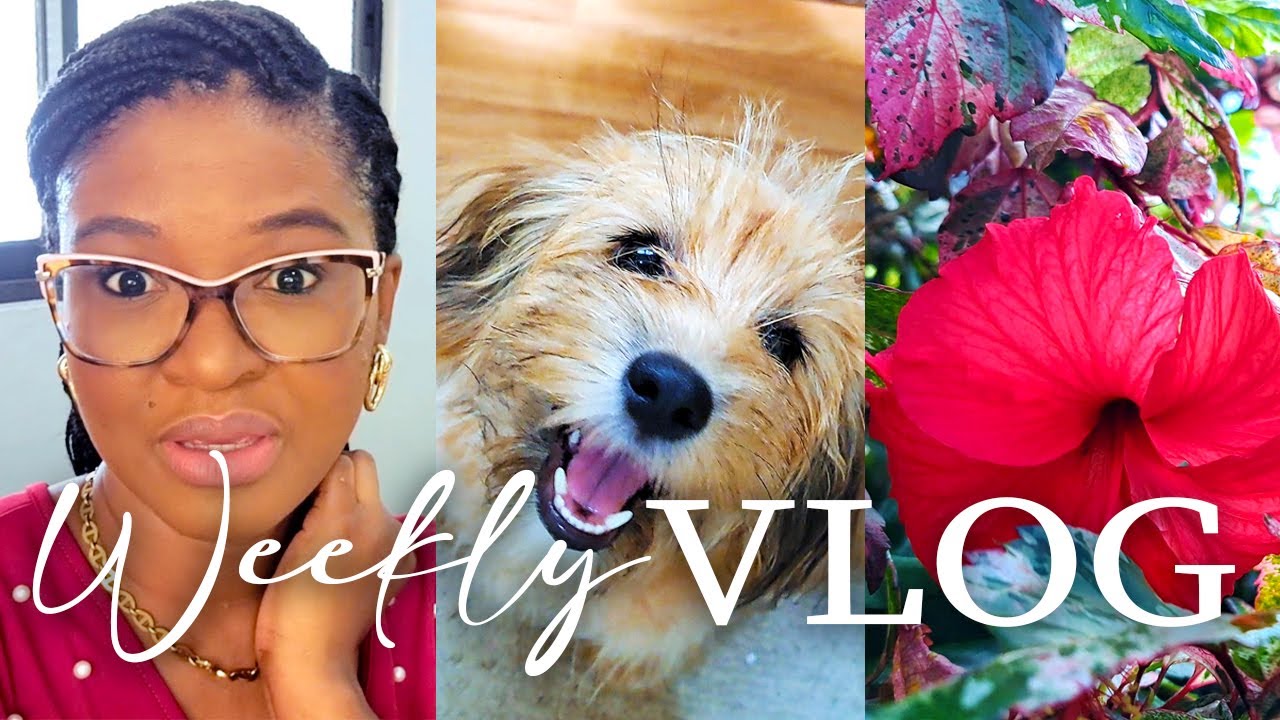 Life in Trinidad | Sunday Routine, Don’t Touch My Puppy, Corporate Girlie Life, and Cook With Me