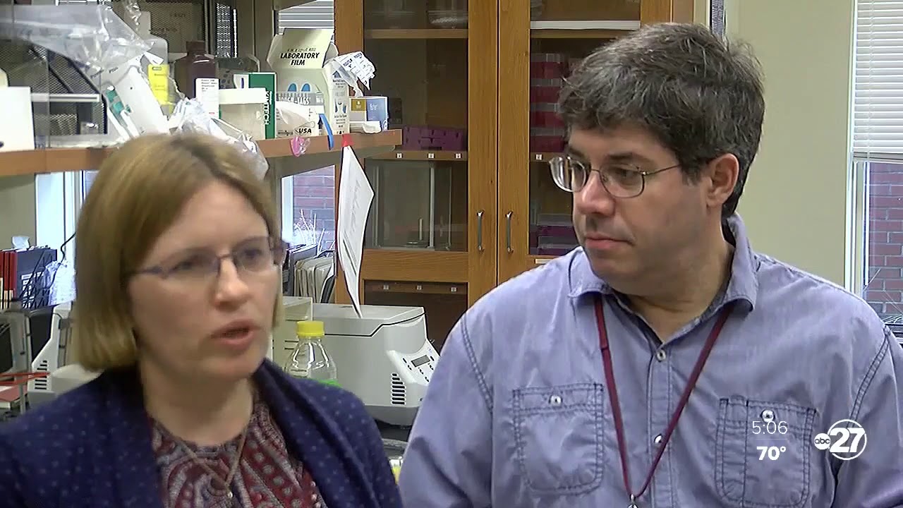 FSU researchers aim to reduce student stress with art therapy