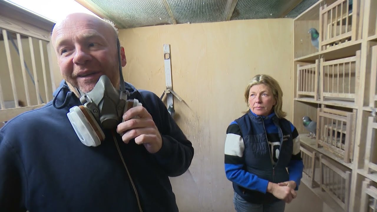 De Belgische Reisduif - De Constateur - Anthony & Chantal Maes