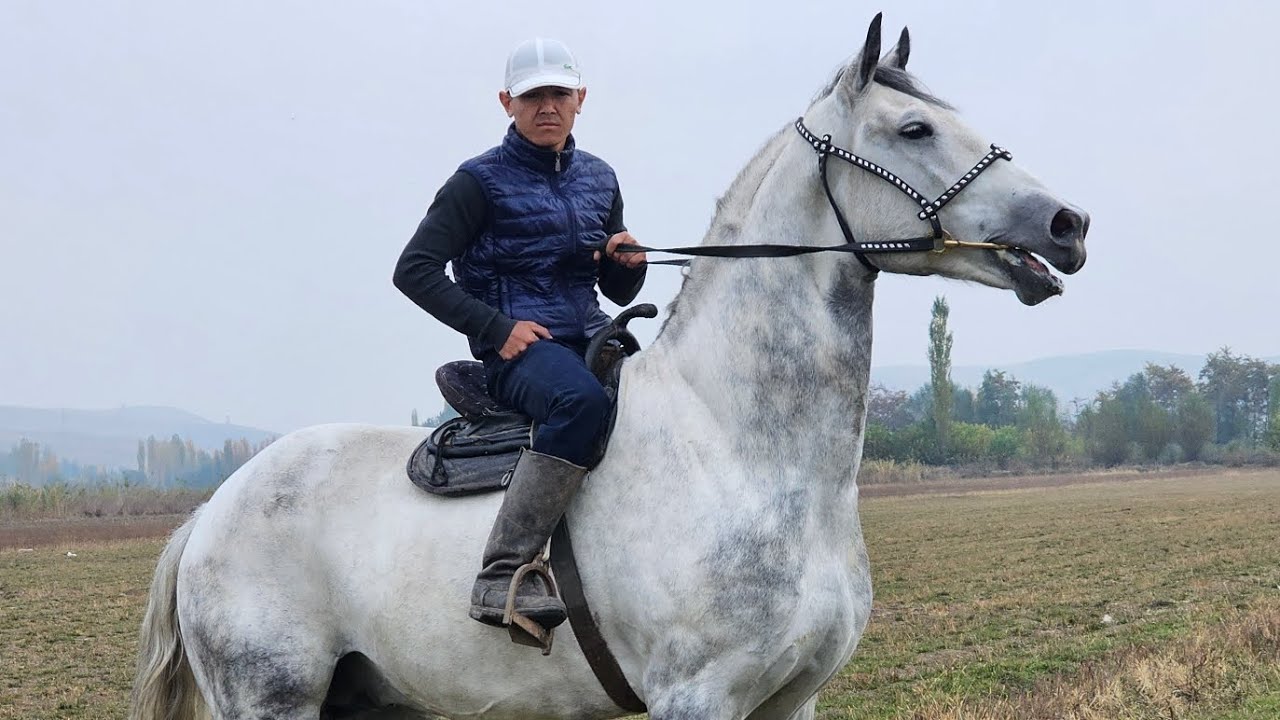 ЗАКАДАГЫ ОКЕАН топту суу кечкендей кечет