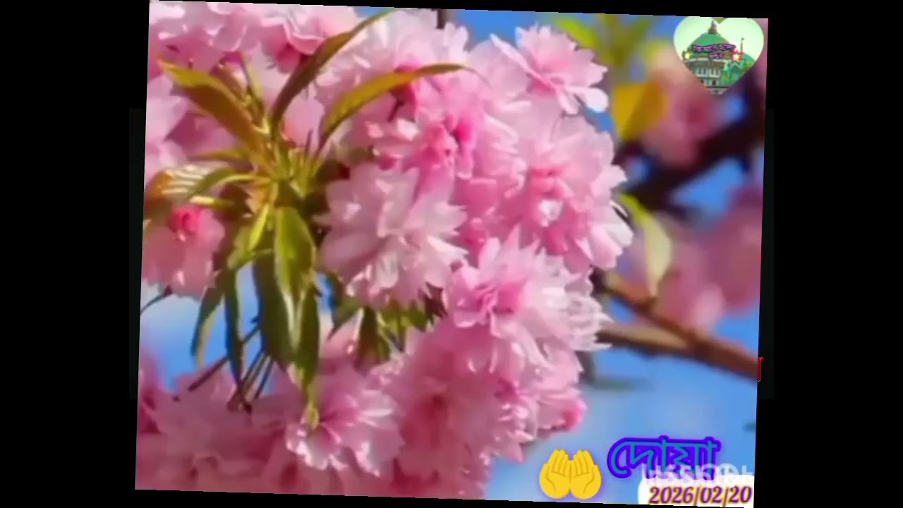 ডঃ আশরাফ সিদ্দিকী অনলাইন রেডিও