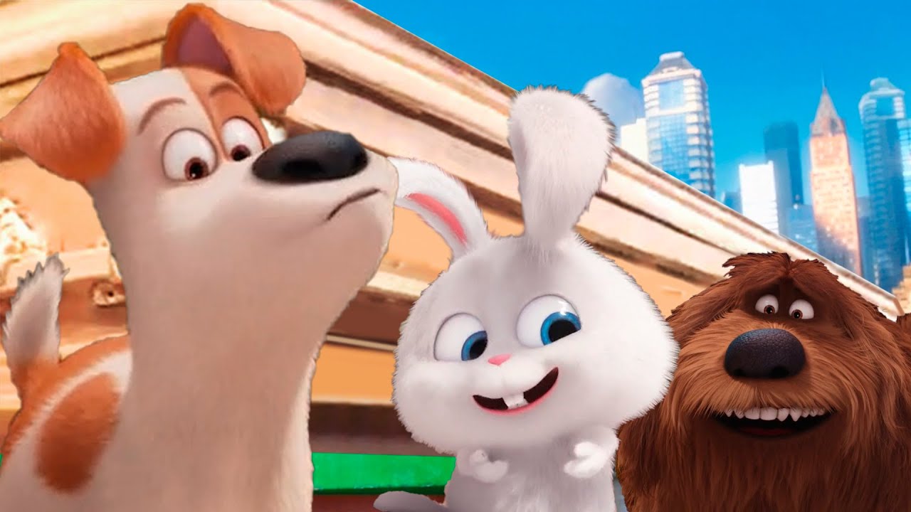 Secret Life of Pets. Movie - Coffin Dance Song [COVER]