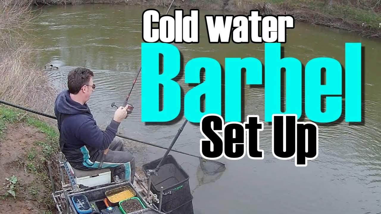 How to Catch barbel In Winter