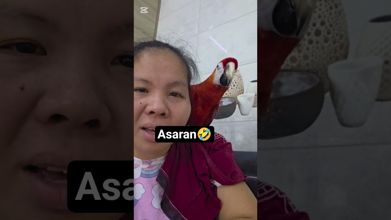 Kanang nang aasar kapa 🤣🤣
