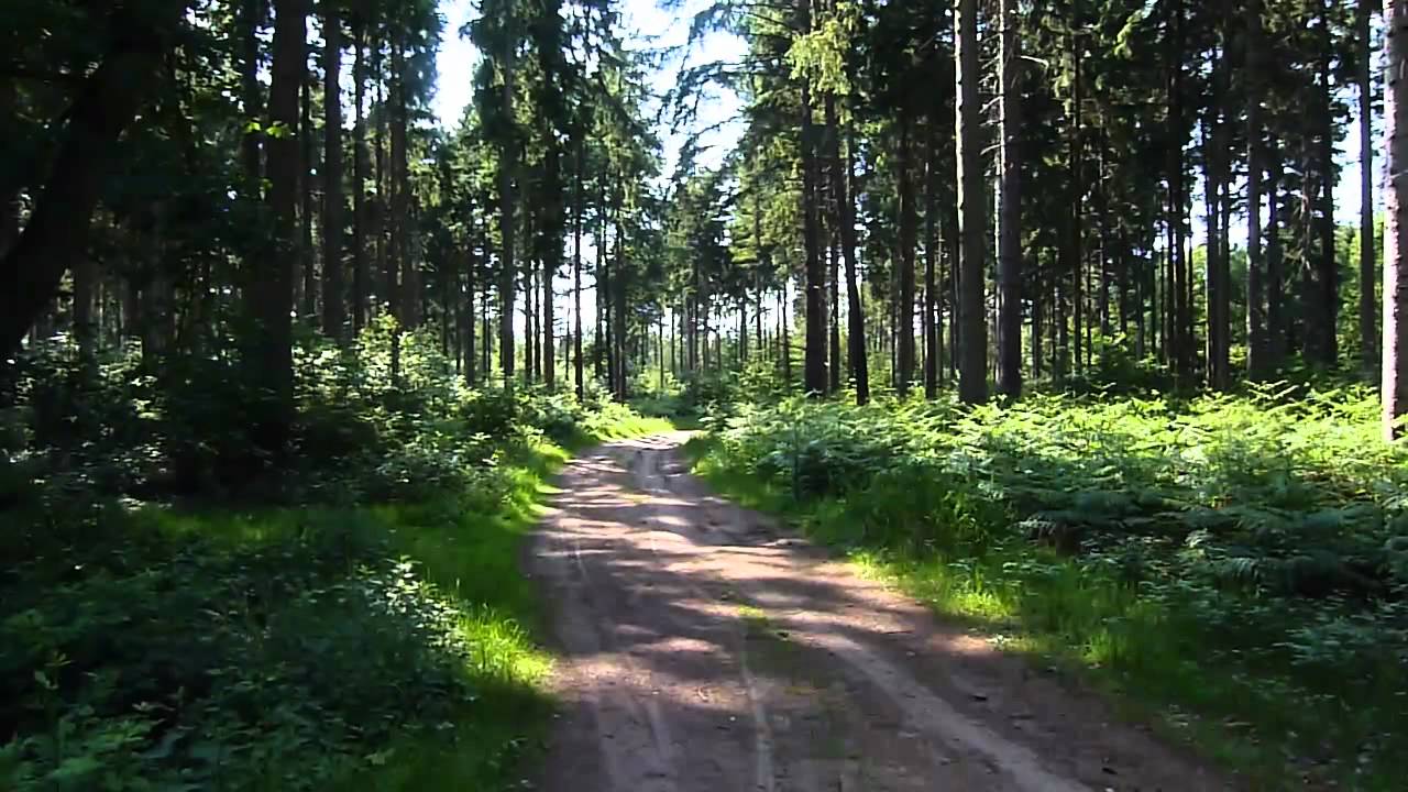 Wald & Hünengräber in Drangstedt