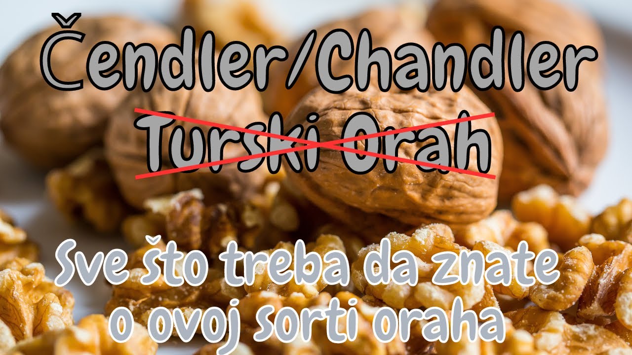 Orah Čendler / Chandler - Sve što treba da znate o ovoj sorti oraha