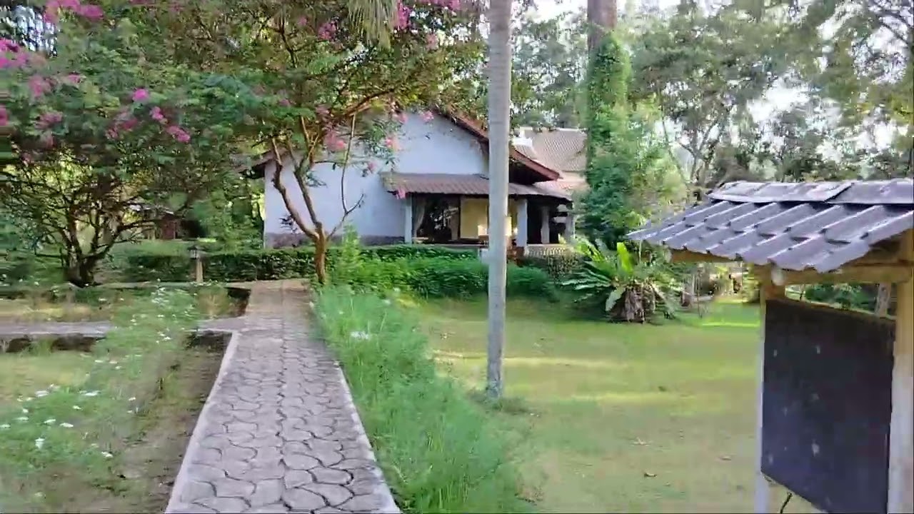 Ecolodge Hotel Bukit Lawang