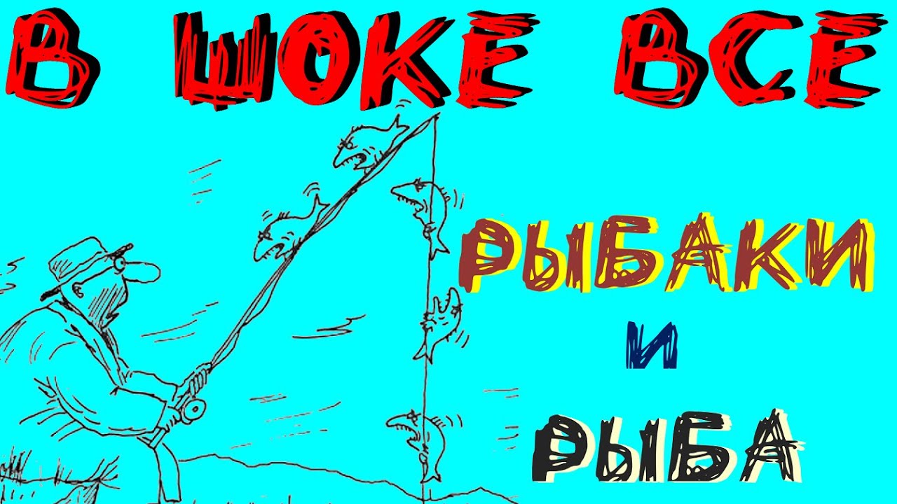 СУПЕР БЮДЖЕТНАЯ ПРИМАНКА НА ХИЩНИКА 