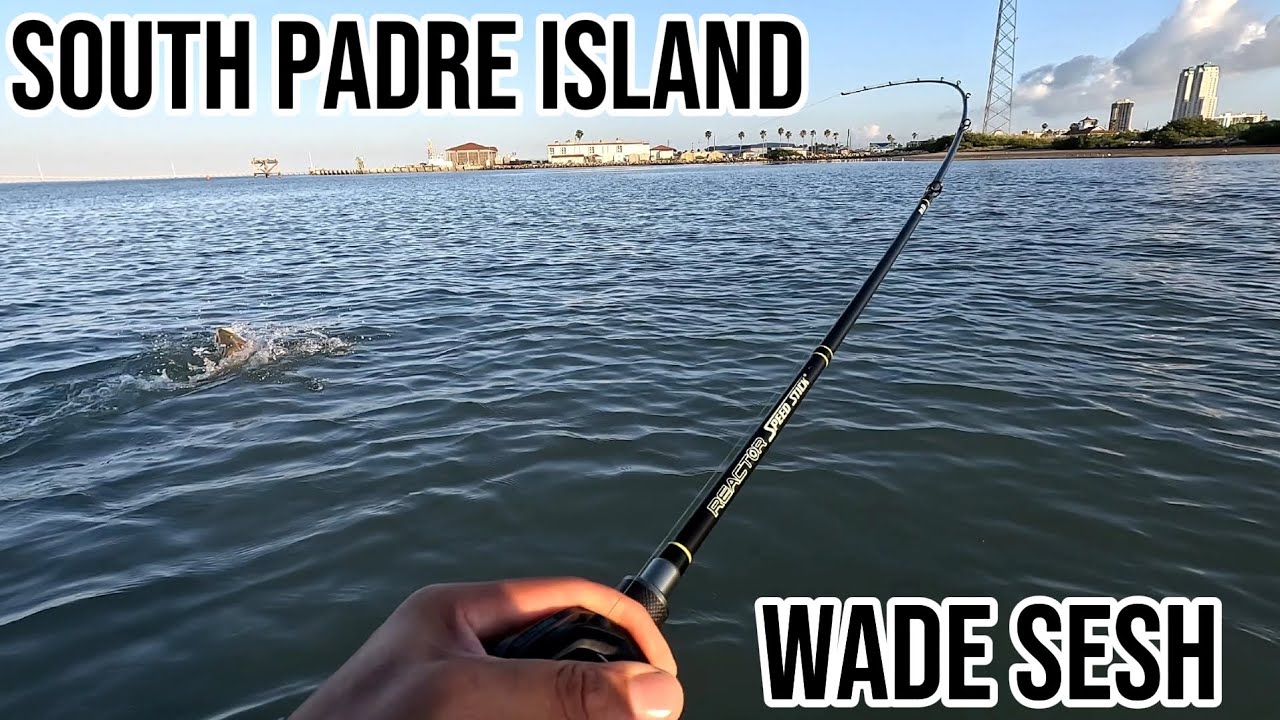 Wade fishing South Padre Island for big trout 
