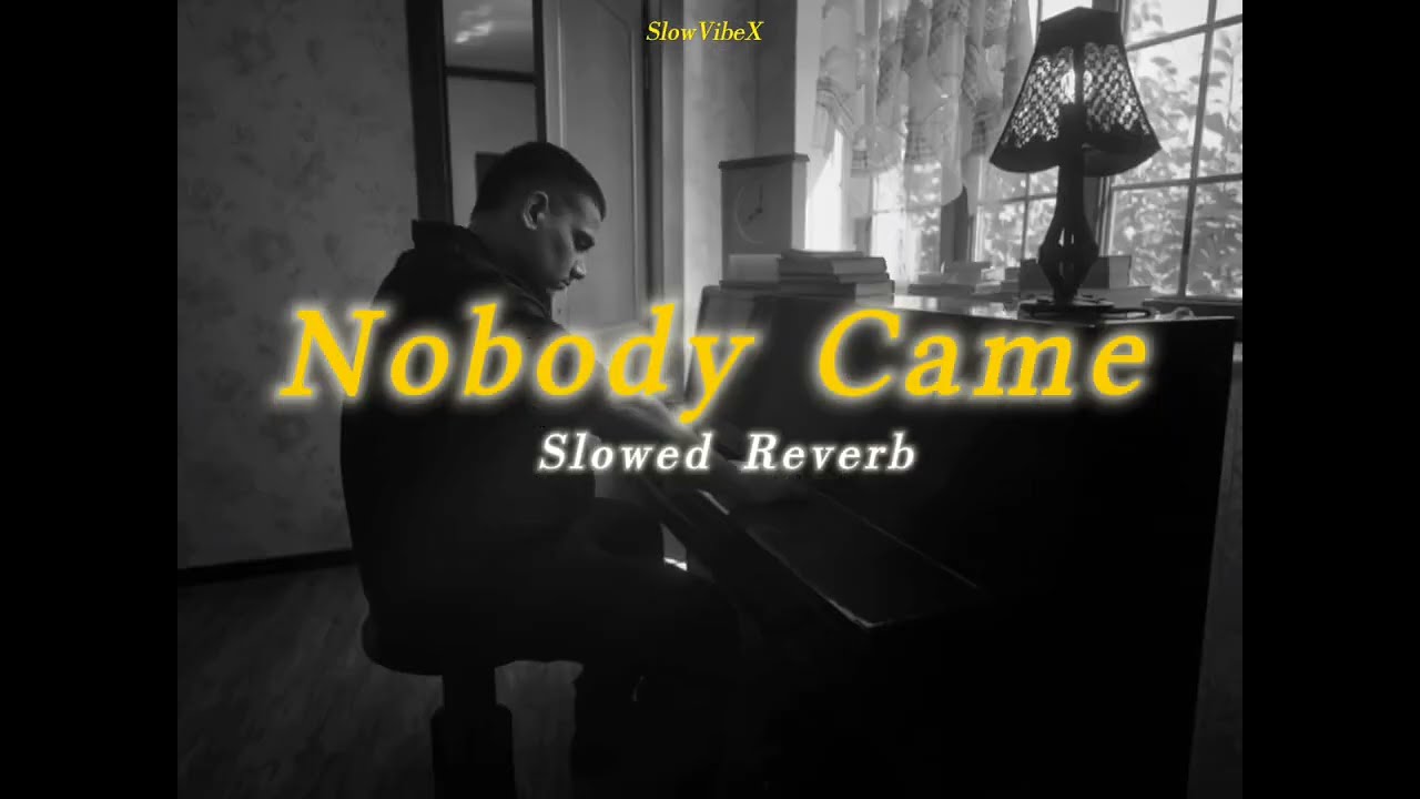 NOBODY CAME (SLOWED & REVERB) - DHANDA NYOLIWALA