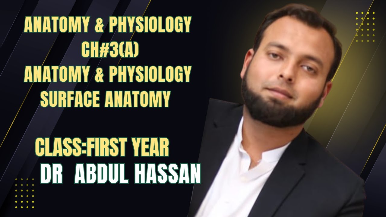 Surface Anatomy Overview: External Landmarks, Body Regions and Clinical Significance