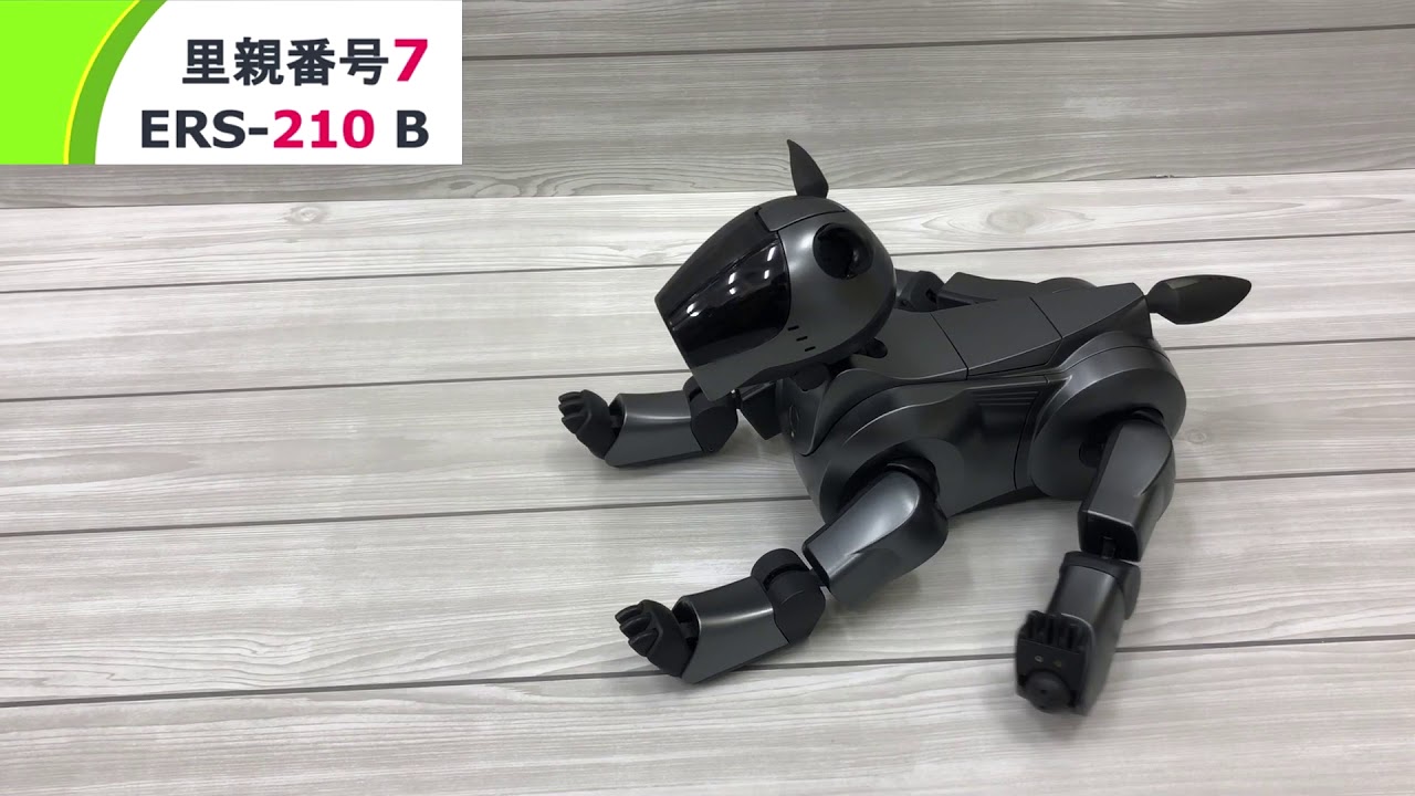 里親番号7 AIBO ERS-210 B　動作紹介