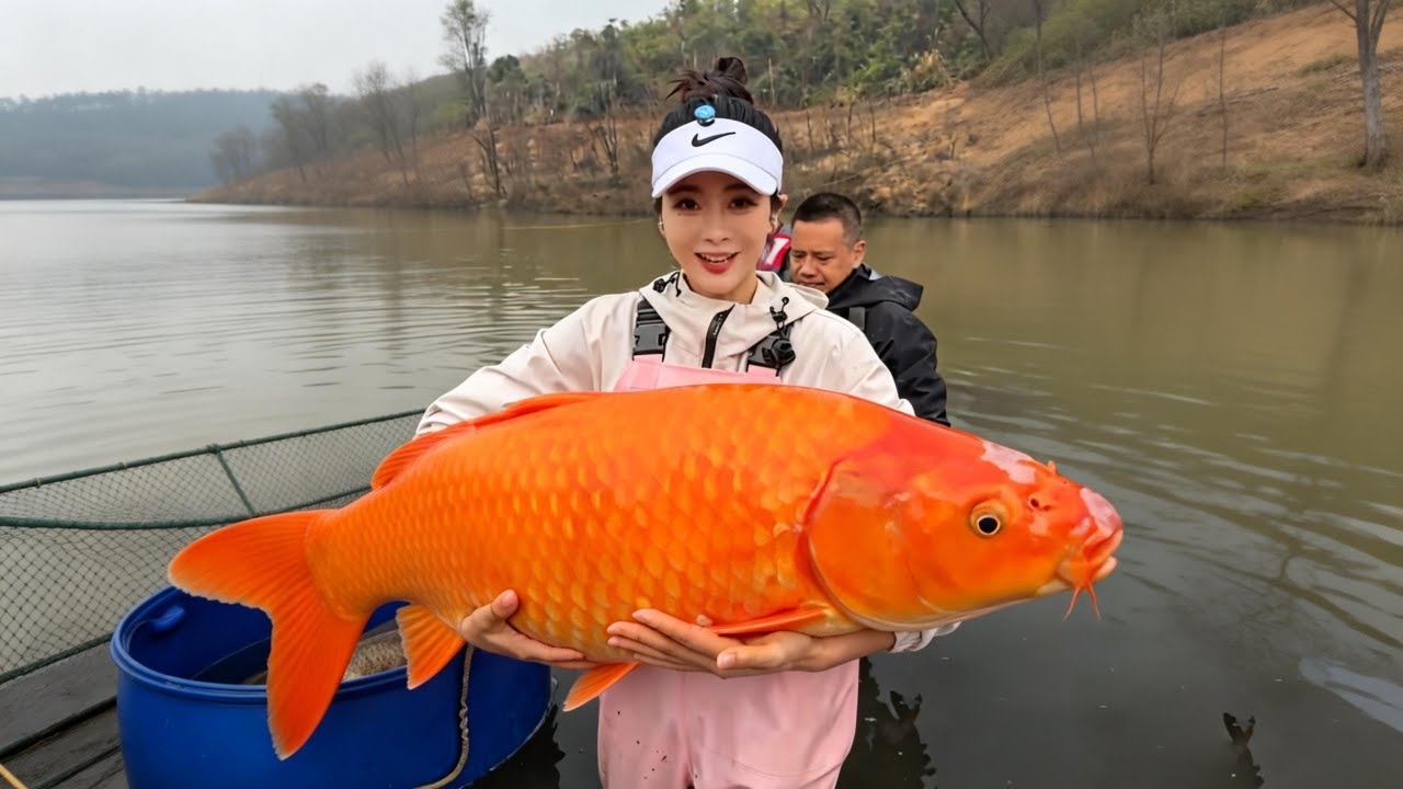 盘黑坑水库嚣张老板！老板花20万包下森林矿坑，美女悄悄潜入狂钓三条百斤巨物#钓鱼 #大魚