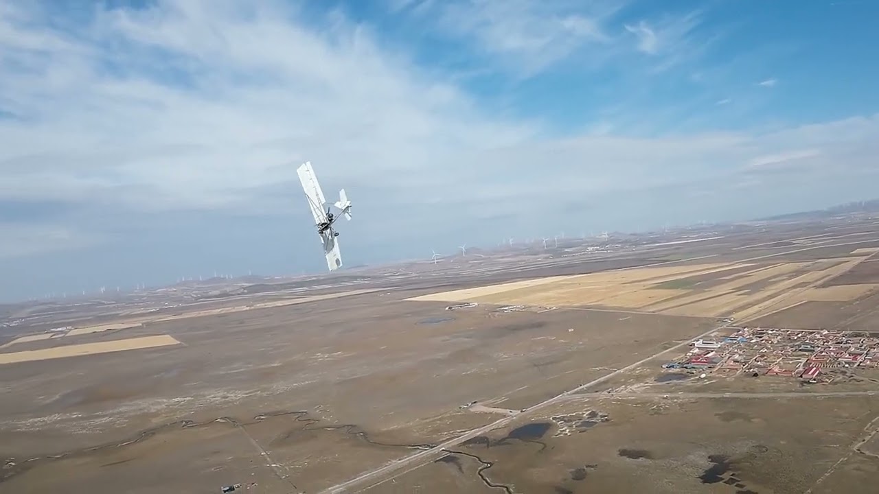 New Dragonfly