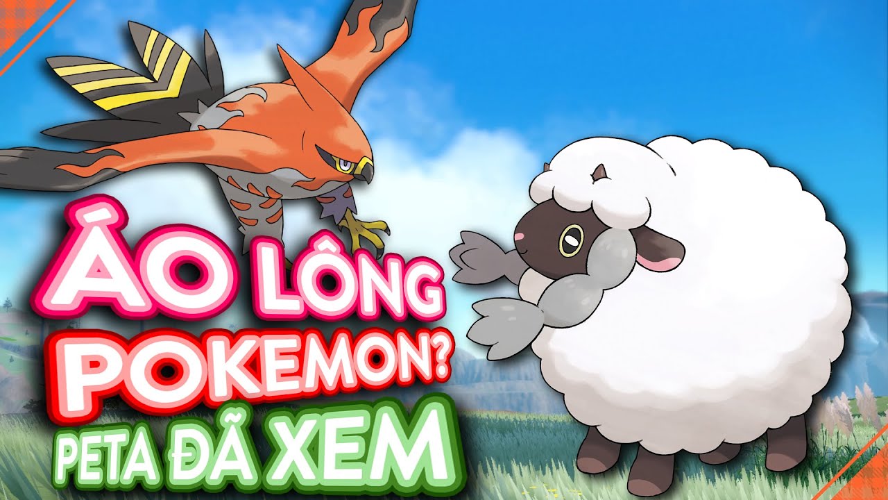 Pokemon nào bị vặt lông làm quần áo? Thời trang trong thế giới Pokemon | Pokemon Việt Nam