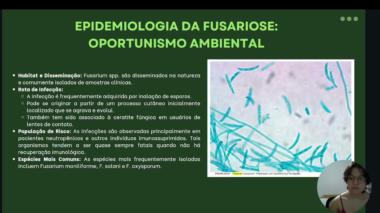 Fusarium spp.: Morfologia e Características Clínicas
