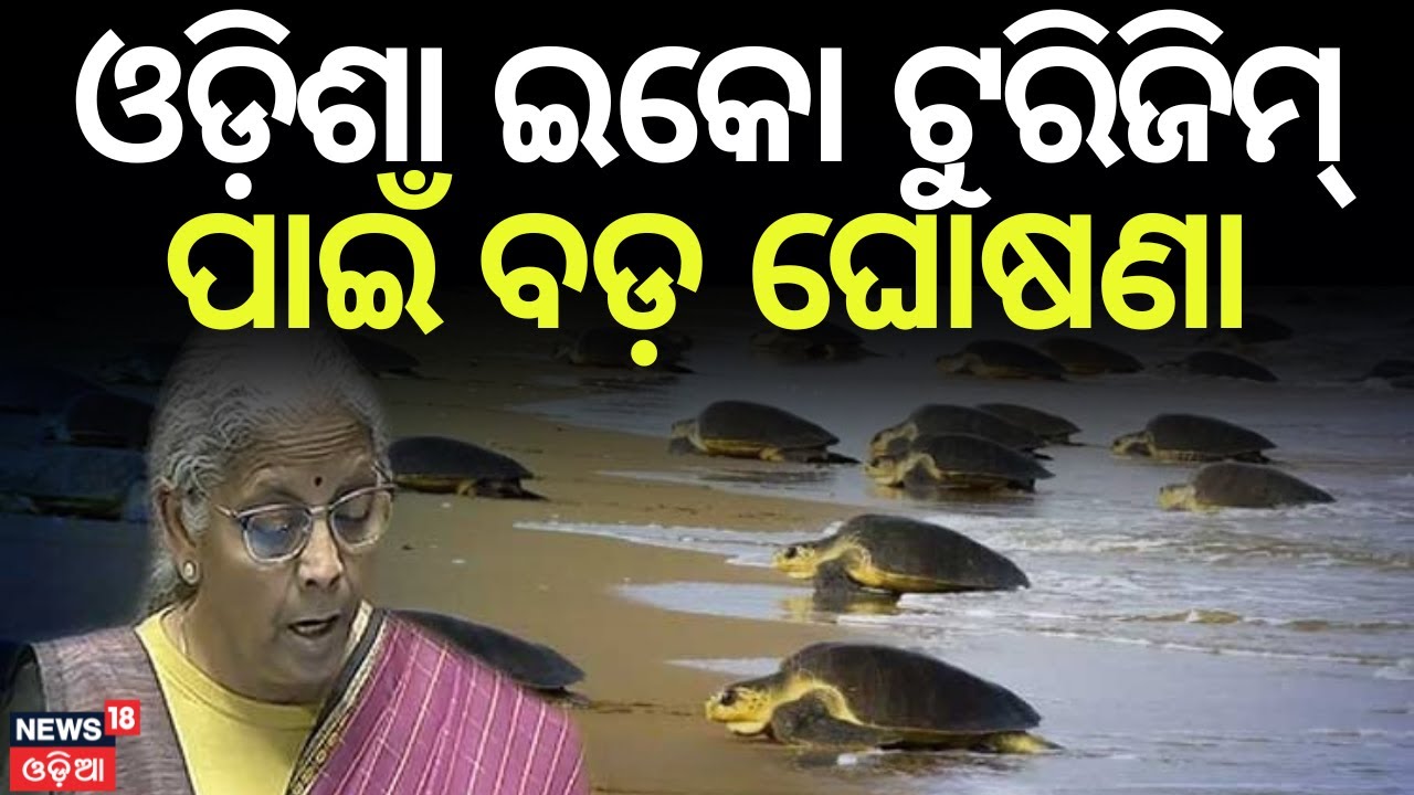 Big Boost for Eco-Tourism: Turtle Trails Announced for Odisha in Budget 2026 | Odia News | N18V