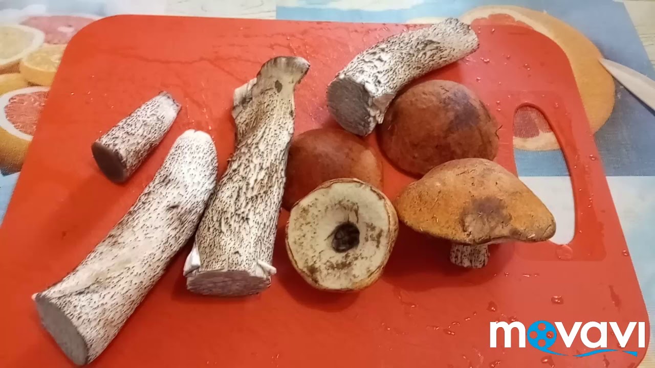 Жареные подосиновики быстро и просто
