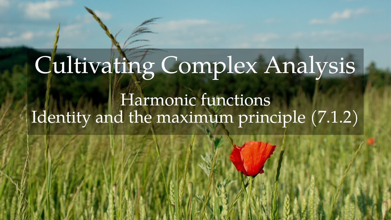 61. Harmonic functions / Identity and the maximum principle (Cultivating Complex Analysis 7.1.2)