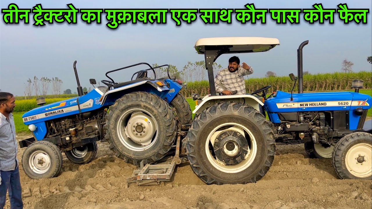 क्या स्वराज को भी फैल कर सकता है न्यूहॉलैंड।