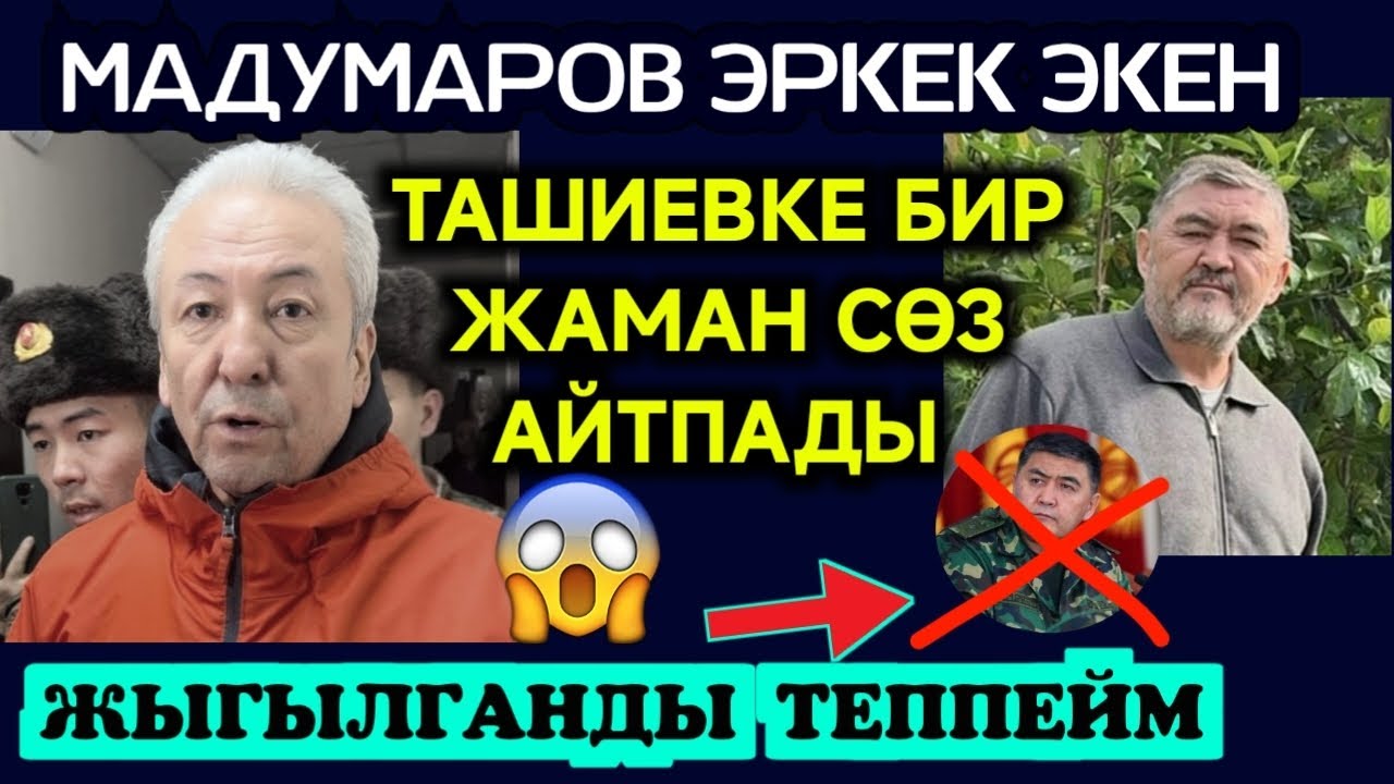 МАДУМАРОВ ТАШИЕВГЕ БИР ЖАМАН СӨЗ АЙТПАДЫ😱😱ЭРКЕК ЭКЕН 👈