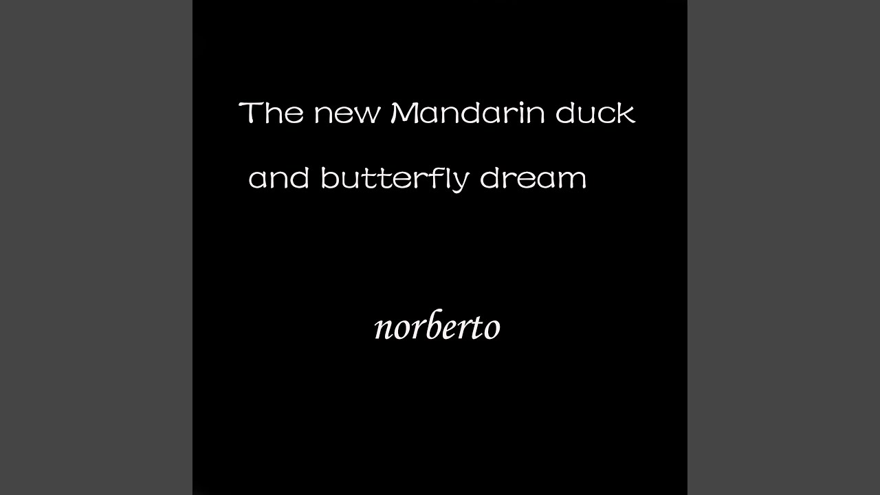 The New Mandarin Duck and Butterfly Dream