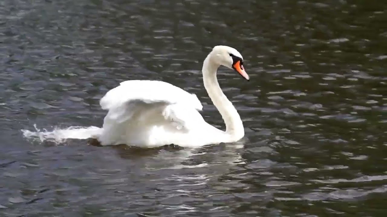 Ритмичная музыка без слов. Музыка для поднятия настроения. Музыка для снятия стресса и отдыха. Relax