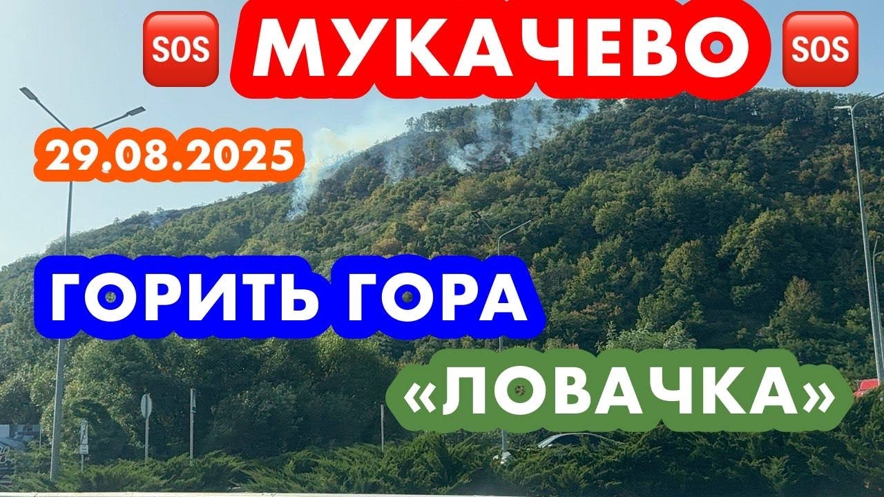 МУКАЧЕВО..ГОРИТЬ ГОРА «ЛОВАЧКА»🆘НІКОМУ НЕМАЄ ДІЛА….ЗАКАРПАТТЯ..29.08.2025