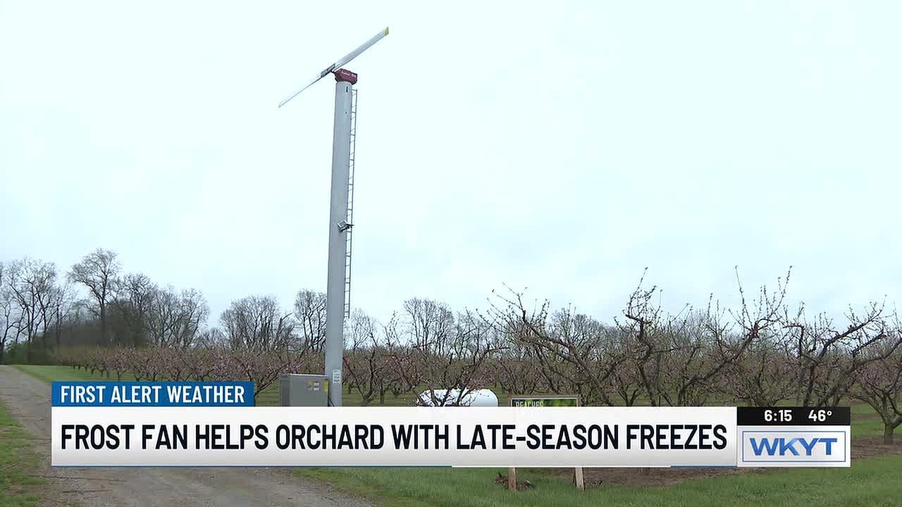 В саду Эккерта установили веер защиты от заморозков, поскольку весенние заморозки угрожают цветущ...