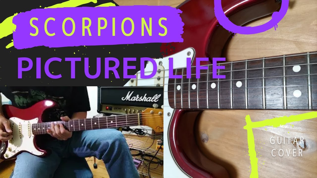 Scorpions / Pictured Life [Guitar Cover]