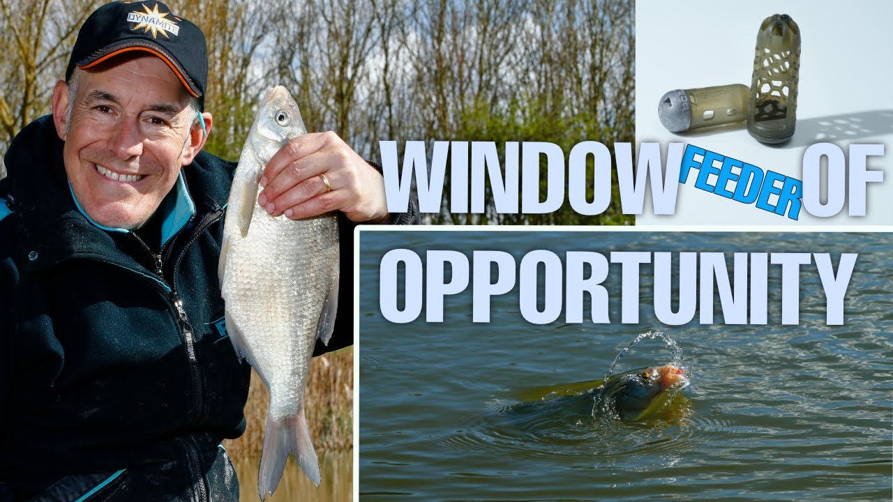 Bream Fishing with the Window Feeder. Episode 5