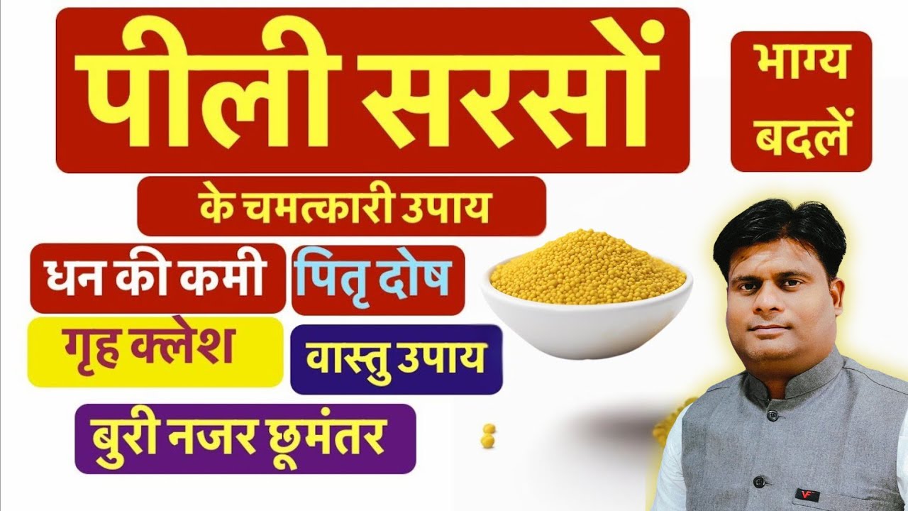 Peeli Sarso Ke Upay जीवन की हर समस्या दूर करेंगे पीली सरसों | पीली सरसों के  चमत्कारी टोटके