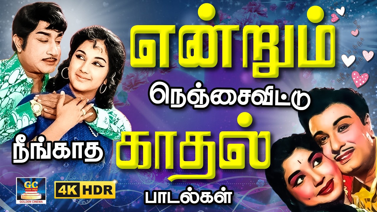 என்றும் நெஞ்சைவிட்டு நீங்காத 60s காதல் பாடல்கள் | TMS - P.Susheela Duet Songs | MGR | Sivaji | 4K