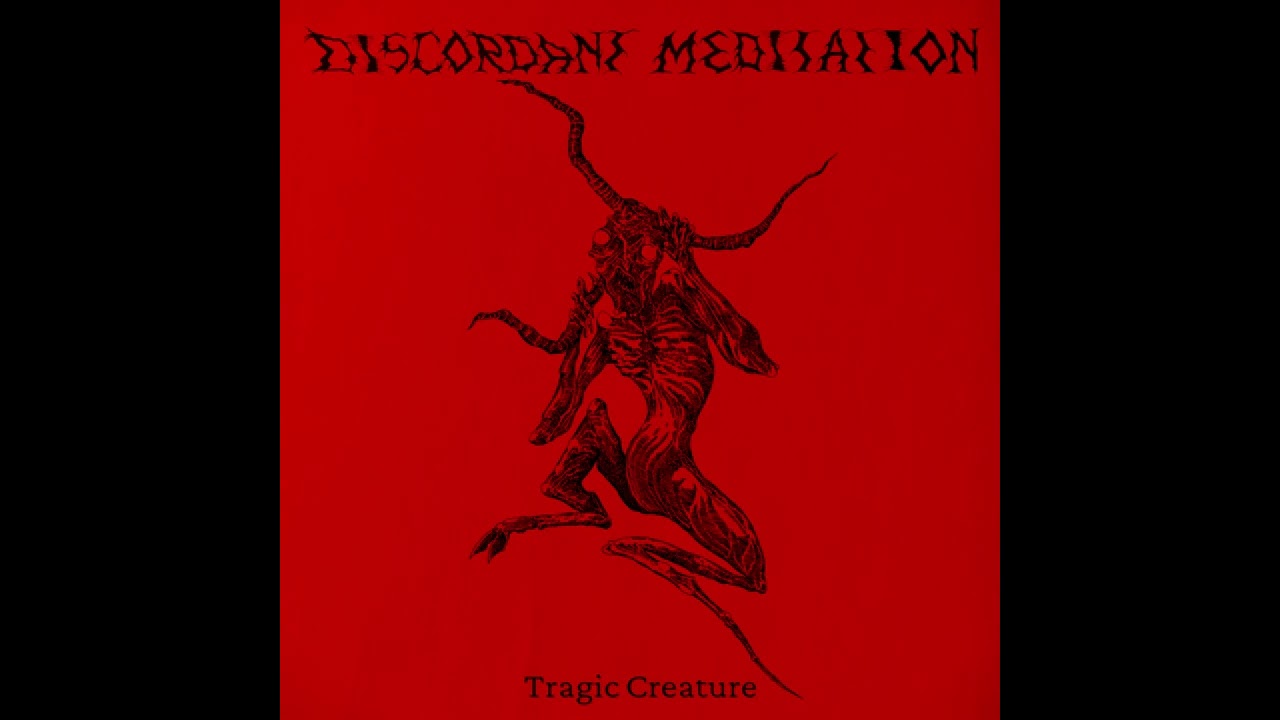 Discordant Meditation - Tragic Creature