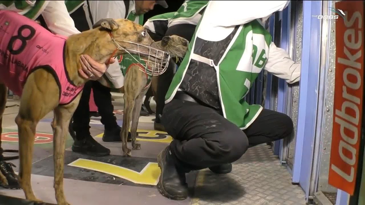 TAB Million Dollar Chase Final
