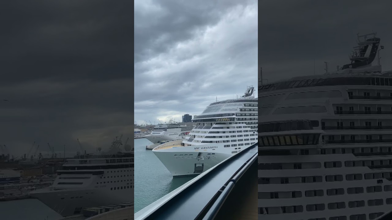 Meet the 4 ship of msc 