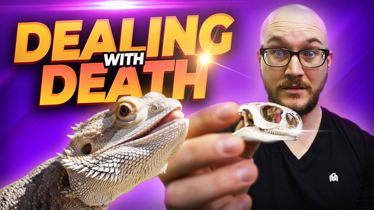My Favorite Pet Reptile Died, Now What? | The Toughest Video I've Ever Made!