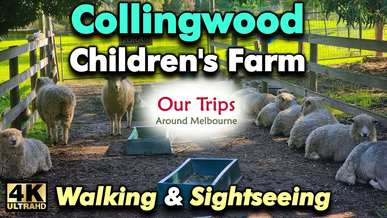 COLLINGWOOD CHILDREN'S FARM WALKING TOUR MELBOURNE CITY VICTORIA AUSTRALIA | FAMILY FUN WITH ANIMALS