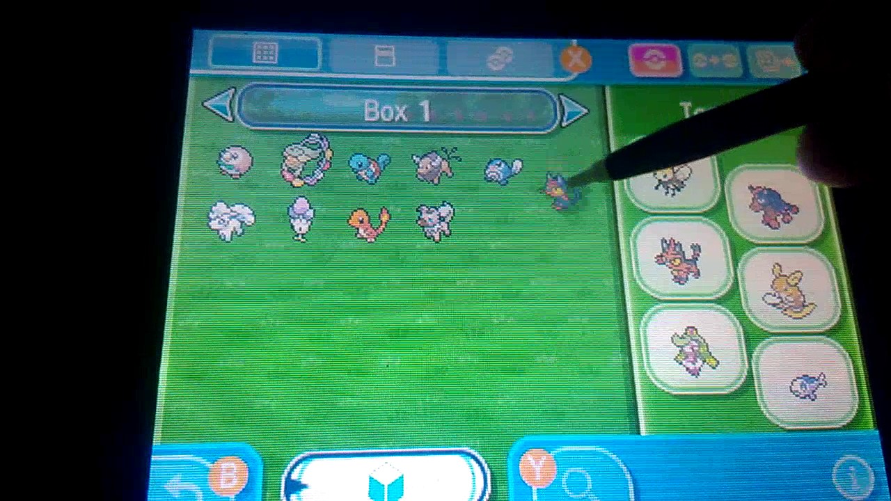 Shiny Flamiau | Von Lucys Plauderecke bekommen ❤