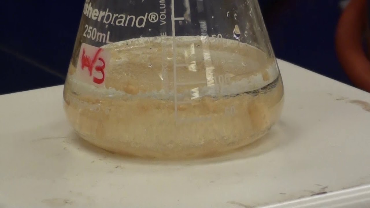 Synthesis of Acetanilide