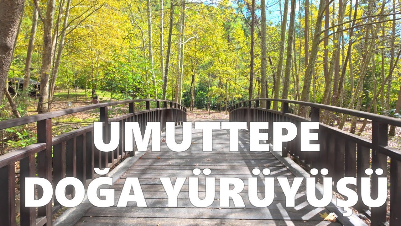 Günübirlik Doğa Yürüyüşü | Kocaeli Umuttepe'de 11.5 KM Orman Yolu Yürüyüşü
